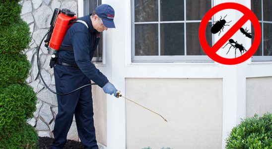 Çelikhan Dezenfeksiyon böcek ilaçlama ve haşere kontrolü — ilaclama-tr.com